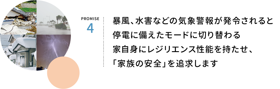 PROMISE4.